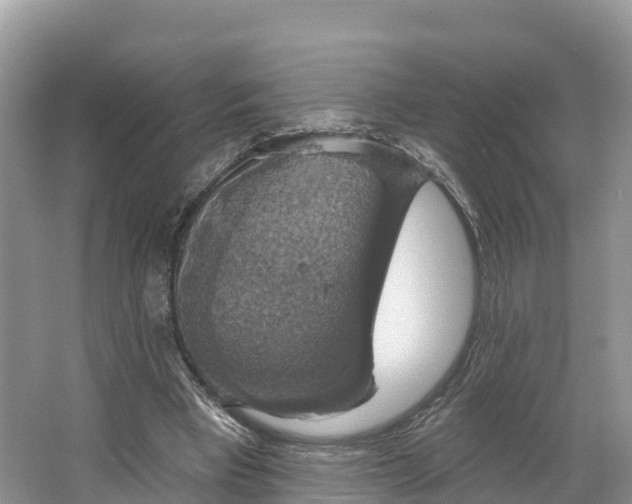 X0000064740393200602241805