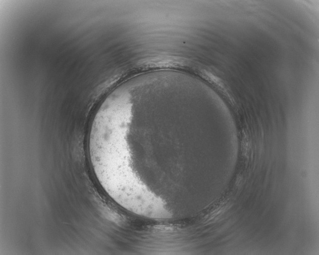 X0000064740394200602241805