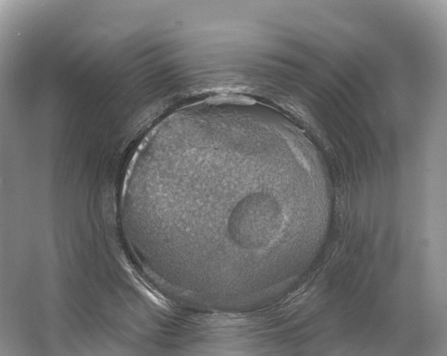 X0000064740397200602241805