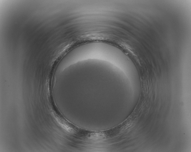 X0000064740398200602241805