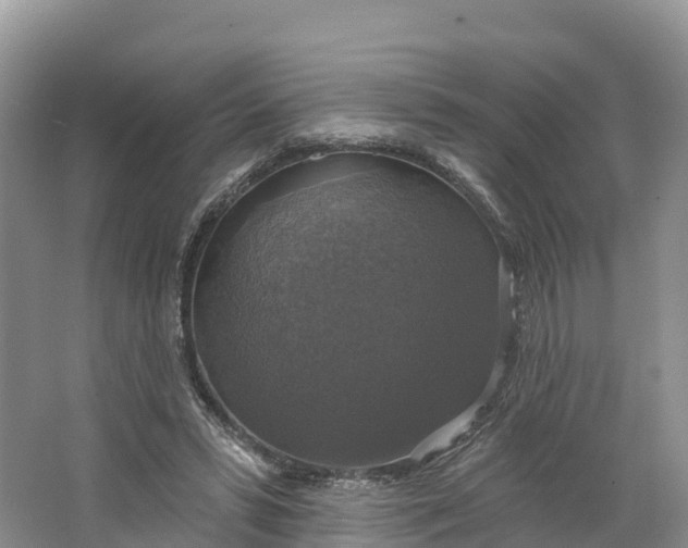 X0000064740399200602241805