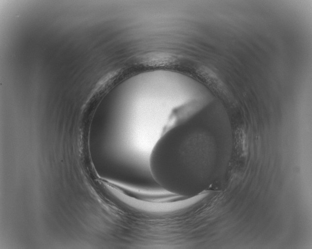 X0000064740400200602241805