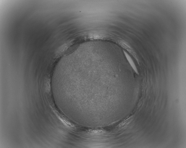 X0000064740401200602241805