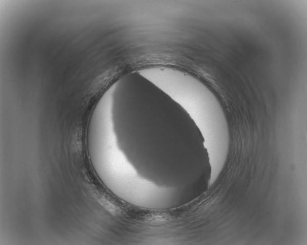 X0000064740402200602241805