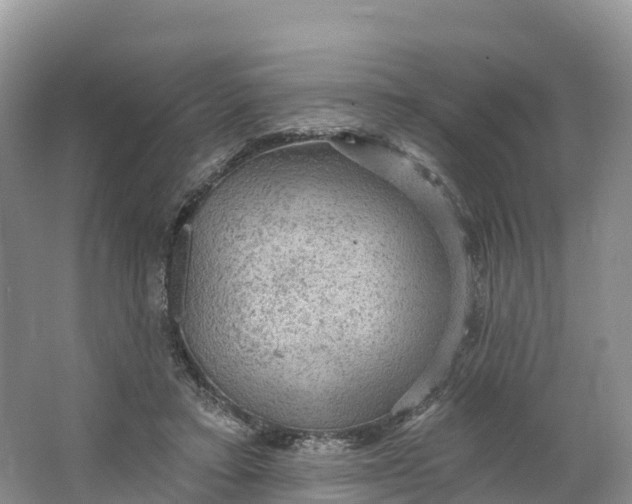 X0000064740403200602241805