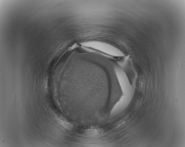 X0000064740404200602241805