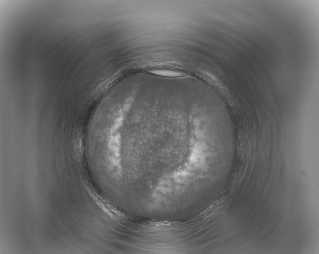 X0000064740405200602241805