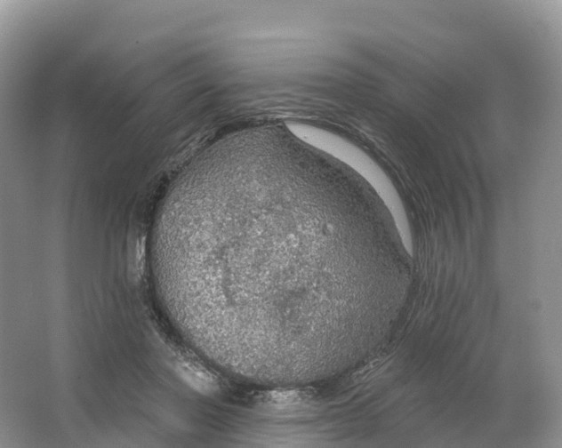 X0000064740406200602241805