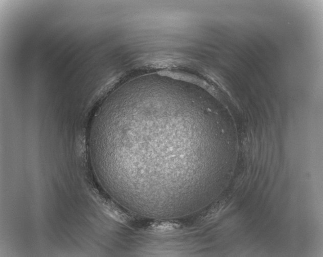 X0000064740407200602241805