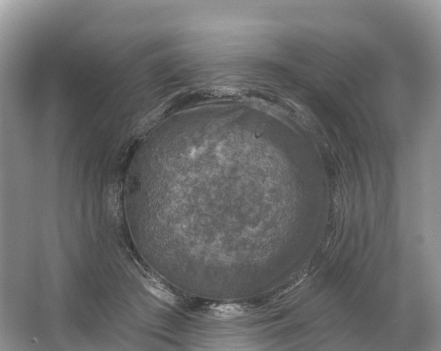 X0000064740409200602241805