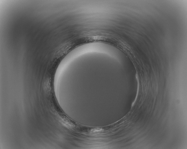 X0000064740410200602241805