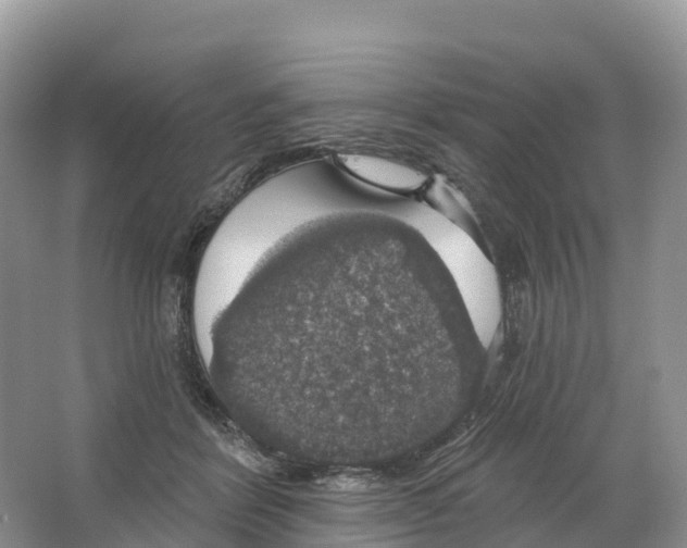 X0000064740412200602241805