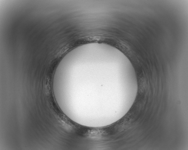 X0000064740414200602241805