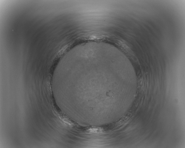 X0000064740415200602241805