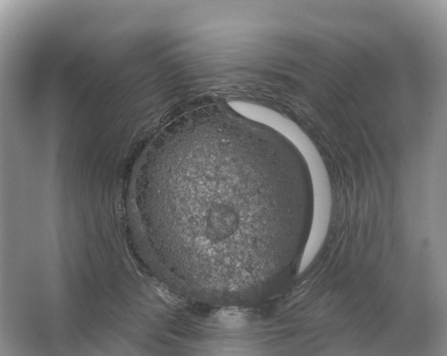 X0000064740416200602241805