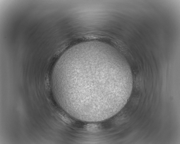 X0000064740418200602241804