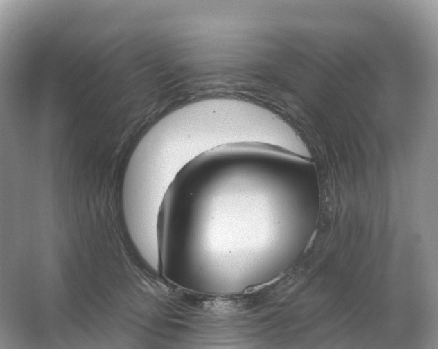 X0000064740419200602241804