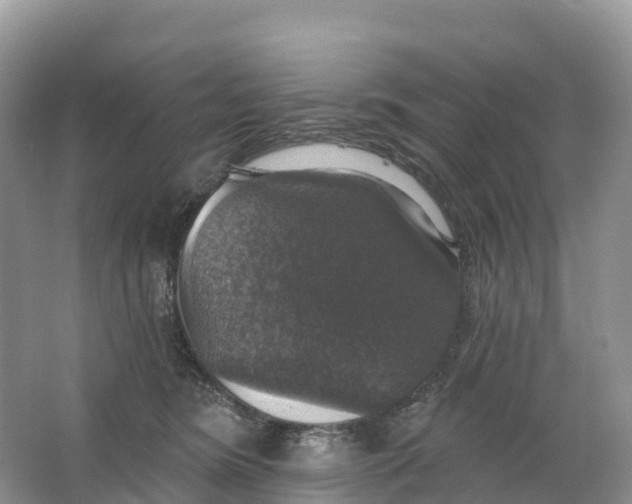 X0000064740420200602241804