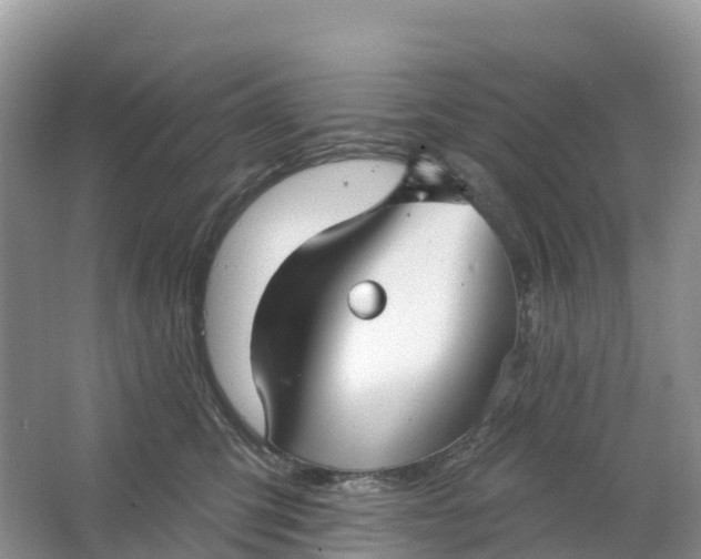 X0000064740423200602241804