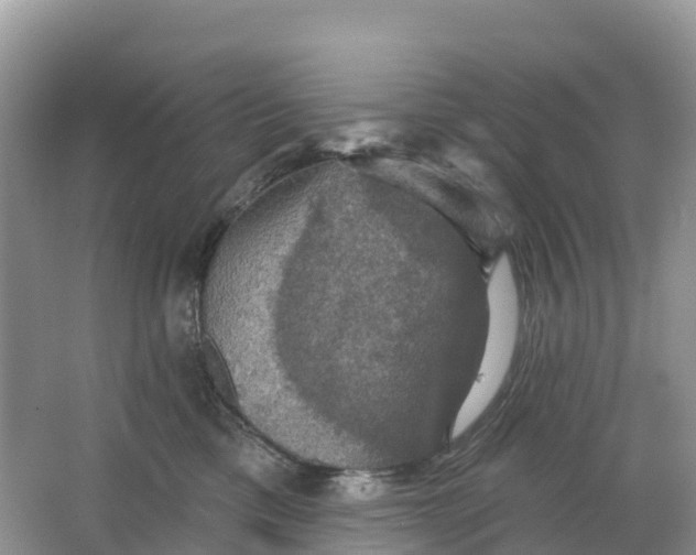 X0000064740425200602241804