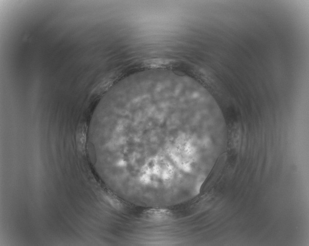 X0000064740427200602241804