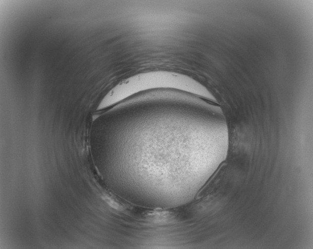 X0000064740428200602241804