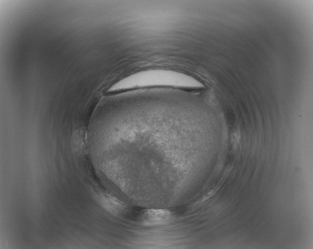 X0000064740429200602241804