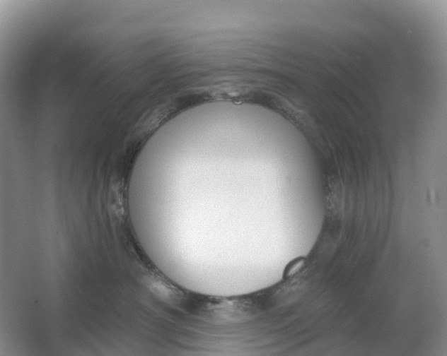 X0000064740430200602241804