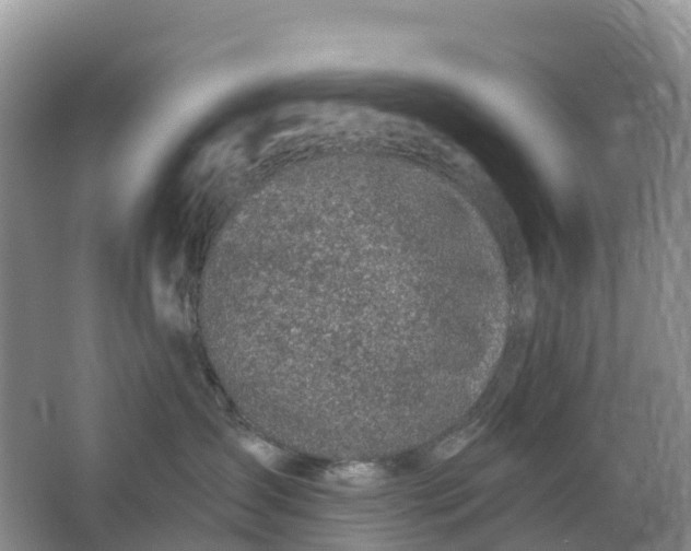 X0000064740431200602241804