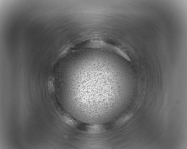 X0000064740432200602241804