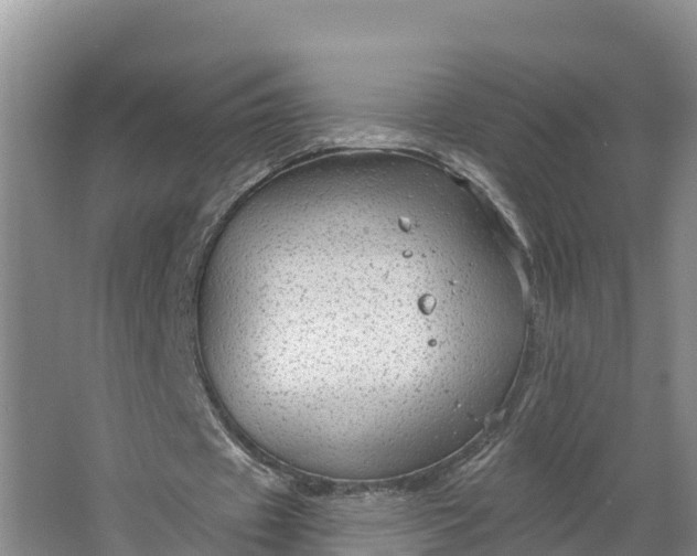 X0000064740433200602241803