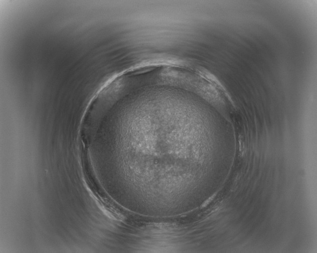 X0000064740436200602241803