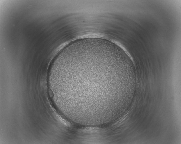 X0000064740437200602241803