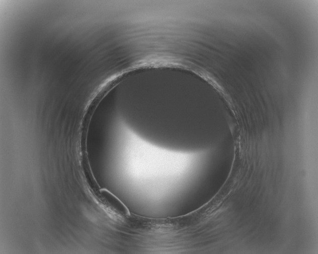 X0000064740438200602241803