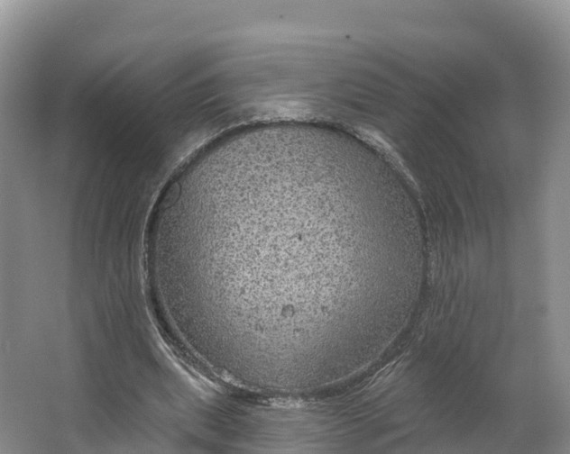 X0000064740439200602241803