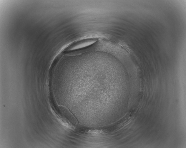 X0000064740440200602241803