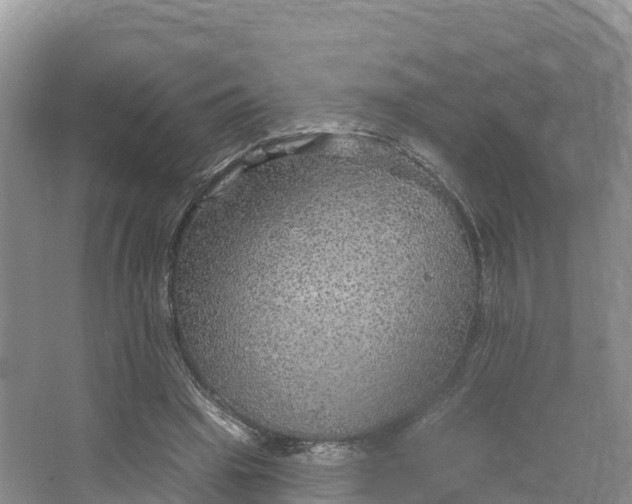 X0000064740441200602241803