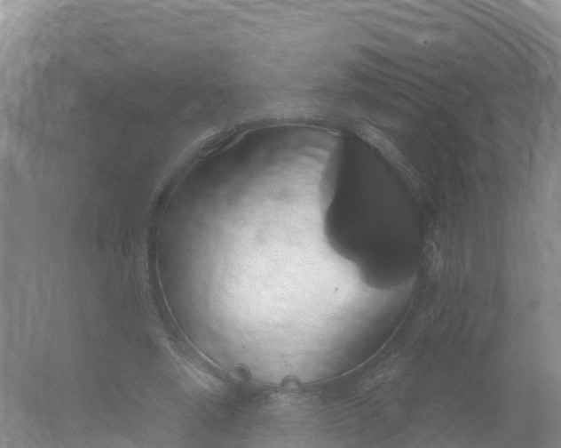 X0000064740442200602241803