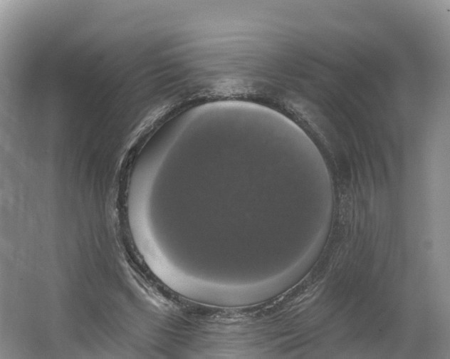 X0000064740443200602241803