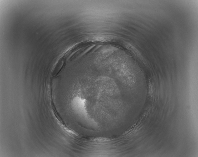 X0000064740444200602241803