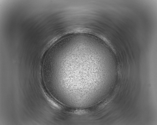 X0000064740445200602241803