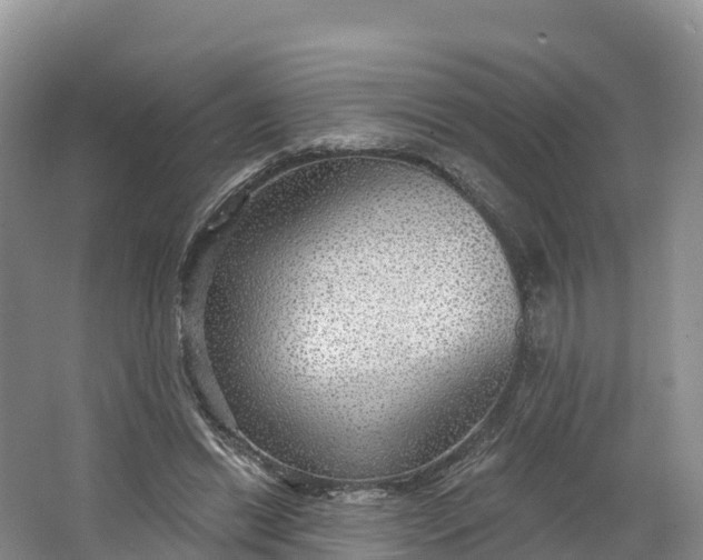 X0000064740446200602241803