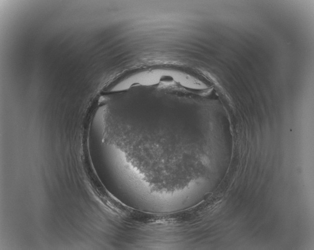 X0000064740447200602241803