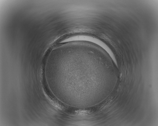 X0000064740448200602241803