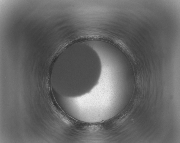 X0000064740449200602241803