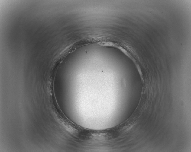 X0000064740450200602241803