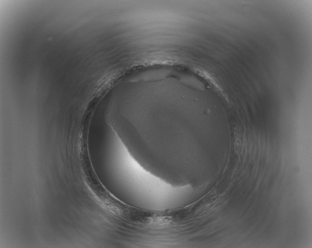 X0000064740451200602241803