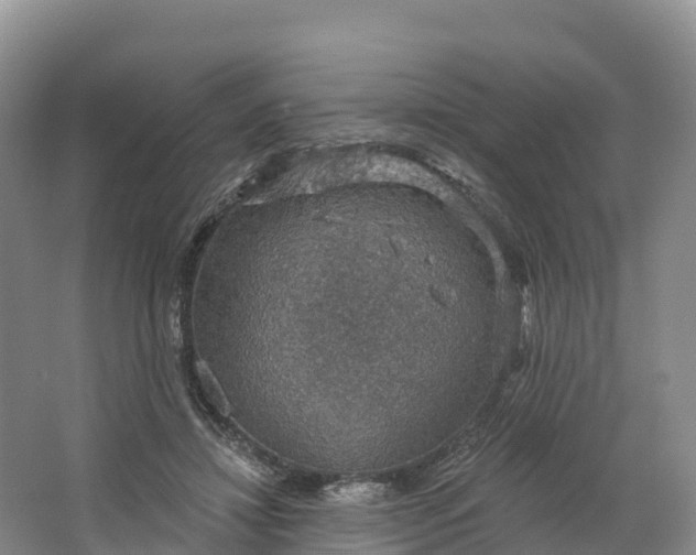 X0000064740452200602241803