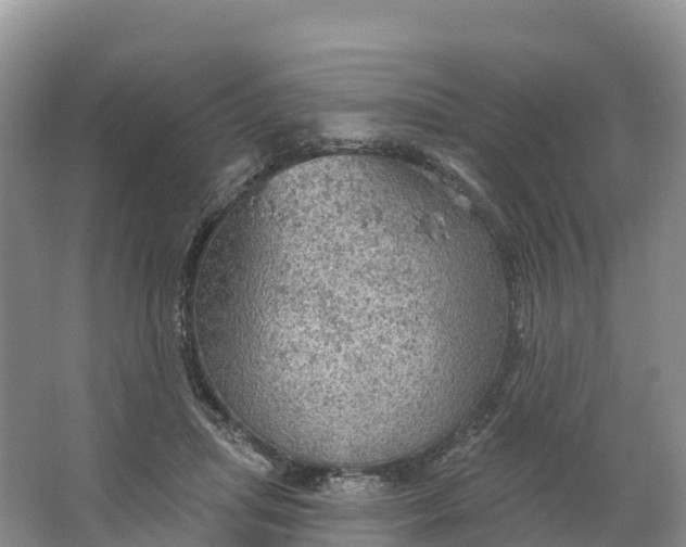 X0000064740455200602241803