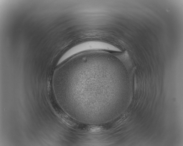 X0000064740456200602241804